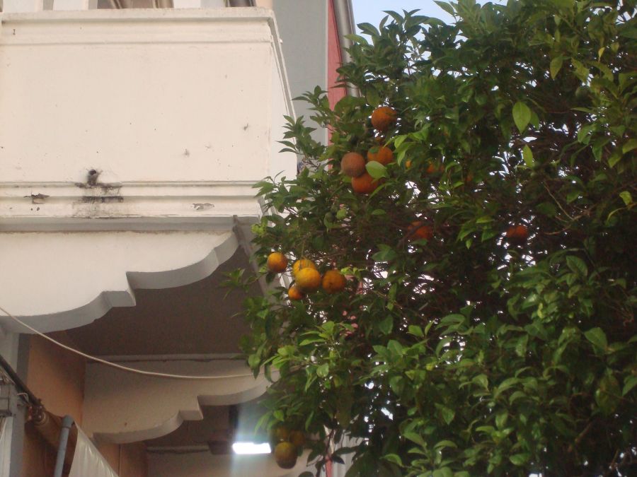 ostrov KOS